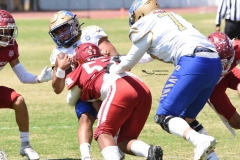 autenticos-tigres-aguilas-blancas-intermedia-2024-199