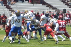 autenticos-tigres-aguilas-blancas-intermedia-2024-22