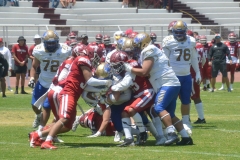 autenticos-tigres-aguilas-blancas-intermedia-2024-23
