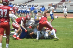 autenticos-tigres-aguilas-blancas-intermedia-2024-25
