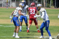 autenticos-tigres-aguilas-blancas-intermedia-2024-31
