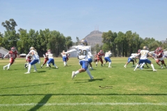 autenticos-tigres-aguilas-blancas-intermedia-2024-35