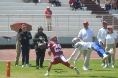 autenticos-tigres-aguilas-blancas-intermedia-2024-36