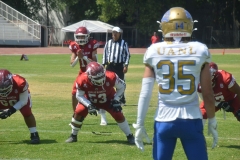 autenticos-tigres-aguilas-blancas-intermedia-2024-37
