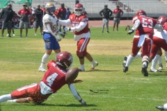 autenticos-tigres-aguilas-blancas-intermedia-2024-39