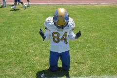 autenticos-tigres-aguilas-blancas-intermedia-2024-4