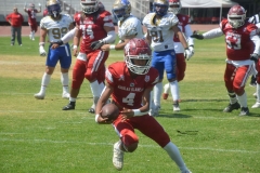 autenticos-tigres-aguilas-blancas-intermedia-2024-40