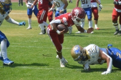 autenticos-tigres-aguilas-blancas-intermedia-2024-41