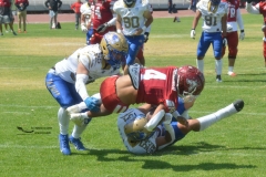 autenticos-tigres-aguilas-blancas-intermedia-2024-42