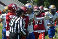autenticos-tigres-aguilas-blancas-intermedia-2024-44
