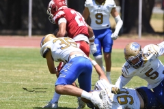 autenticos-tigres-aguilas-blancas-intermedia-2024-49