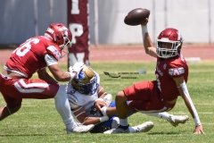 autenticos-tigres-aguilas-blancas-intermedia-2024-55