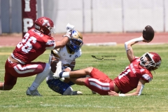 autenticos-tigres-aguilas-blancas-intermedia-2024-56