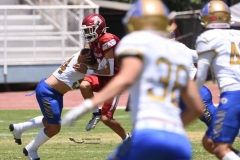 autenticos-tigres-aguilas-blancas-intermedia-2024-57