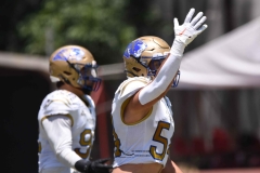 autenticos-tigres-aguilas-blancas-intermedia-2024-60