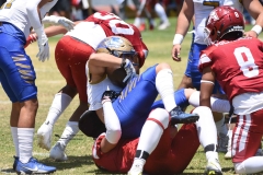 autenticos-tigres-aguilas-blancas-intermedia-2024-61