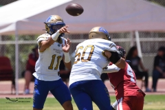 autenticos-tigres-aguilas-blancas-intermedia-2024-64