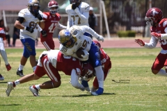 autenticos-tigres-aguilas-blancas-intermedia-2024-65