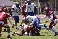 autenticos-tigres-aguilas-blancas-intermedia-2024-66