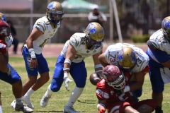 autenticos-tigres-aguilas-blancas-intermedia-2024-67