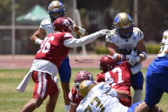 autenticos-tigres-aguilas-blancas-intermedia-2024-68
