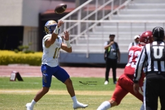 autenticos-tigres-aguilas-blancas-intermedia-2024-69