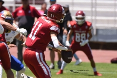 autenticos-tigres-aguilas-blancas-intermedia-2024-73
