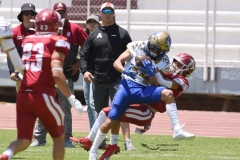 autenticos-tigres-aguilas-blancas-intermedia-2024-74