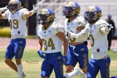 autenticos-tigres-aguilas-blancas-intermedia-2024-77