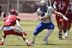 autenticos-tigres-aguilas-blancas-intermedia-2024-78