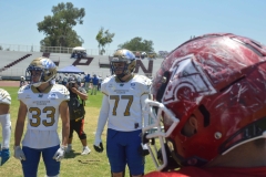 autenticos-tigres-aguilas-blancas-intermedia-2024-8