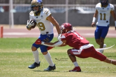 autenticos-tigres-aguilas-blancas-intermedia-2024-81