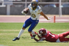 autenticos-tigres-aguilas-blancas-intermedia-2024-82