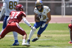 autenticos-tigres-aguilas-blancas-intermedia-2024-83