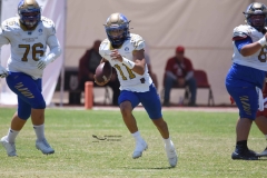 autenticos-tigres-aguilas-blancas-intermedia-2024-85