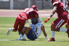 autenticos-tigres-aguilas-blancas-intermedia-2024-88