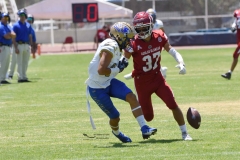 autenticos-tigres-aguilas-blancas-intermedia-2024-89