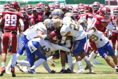 autenticos-tigres-aguilas-blancas-intermedia-2024-90