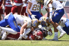 autenticos-tigres-aguilas-blancas-intermedia-2024-91