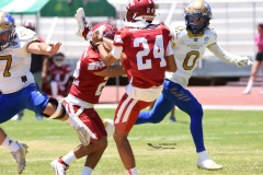autenticos-tigres-aguilas-blancas-intermedia-2024-96