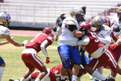 autenticos-tigres-aguilas-blancas-intermedia-2024-98