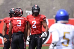 autenticos-tigres-linces-uvm-onefa-liga-mayor-2023-116