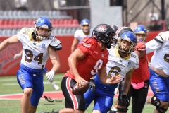 autenticos-tigres-linces-uvm-onefa-liga-mayor-2023-119