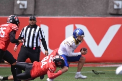 autenticos-tigres-linces-uvm-onefa-liga-mayor-2023-121