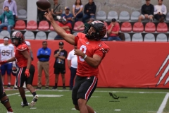 autenticos-tigres-linces-uvm-onefa-liga-mayor-2023-167