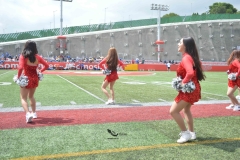 autenticos-tigres-linces-uvm-onefa-liga-mayor-2023-20