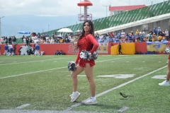 autenticos-tigres-linces-uvm-onefa-liga-mayor-2023-24