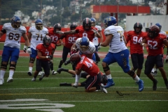 autenticos-tigres-linces-uvm-onefa-liga-mayor-2023-28