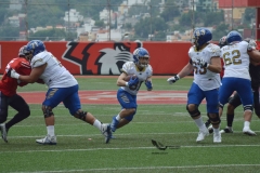 autenticos-tigres-linces-uvm-onefa-liga-mayor-2023-3