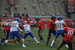 autenticos-tigres-linces-uvm-onefa-liga-mayor-2023-33